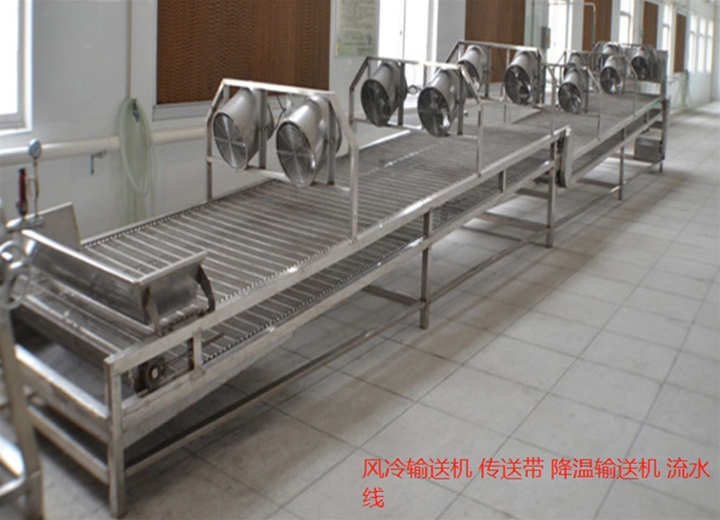 鏈網降溫輸送機